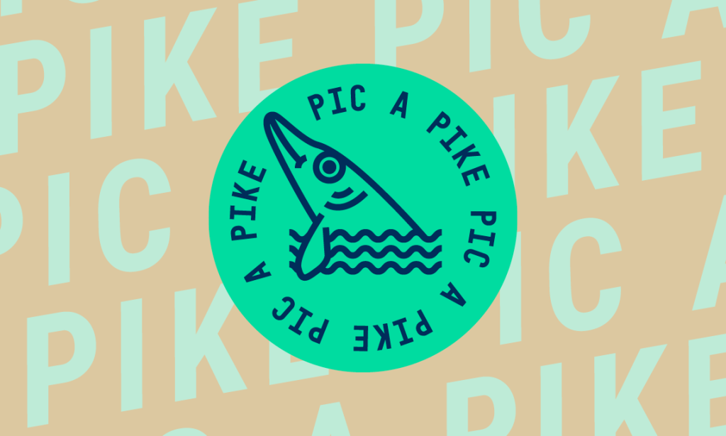 picapike -  VJU CASE