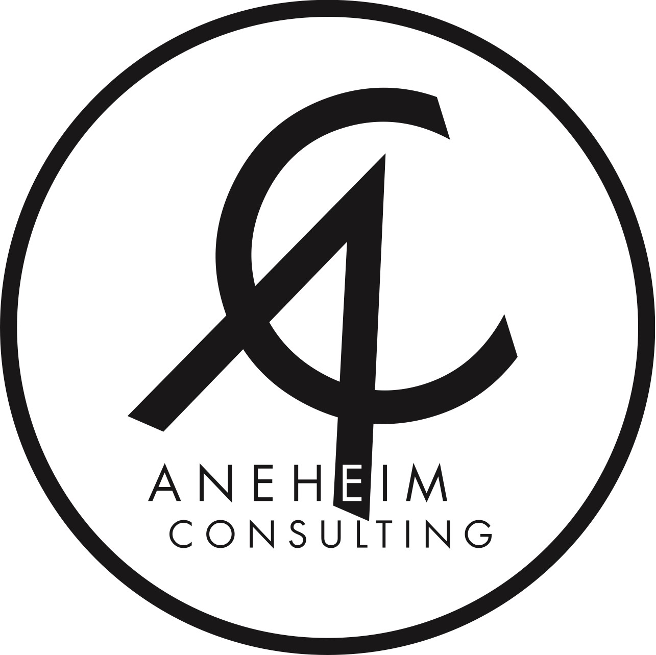 Aneheim Consulting